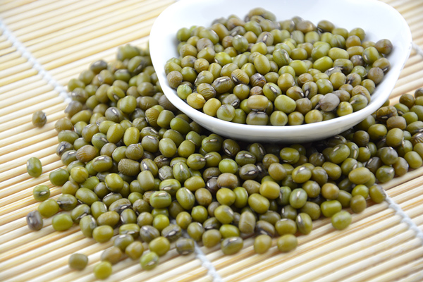 我國(guó)1-3月進(jìn)口大豆激增 非轉(zhuǎn)基因大豆需求略有缺口