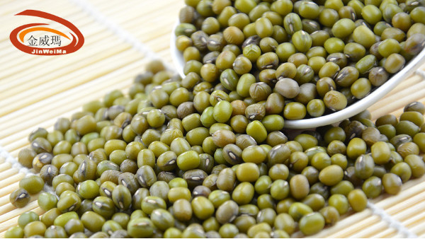 綠豆的品類只有一種嗎？