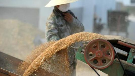 我國糧食產(chǎn)后損失嚴(yán)重，節(jié)糧護(hù)理空間巨大
