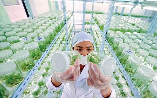 中國農業(yè)領域國家級技術創(chuàng)新中心落戶