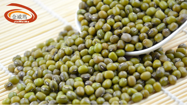 全球綠豆市場主要出口國生產(chǎn)概況
